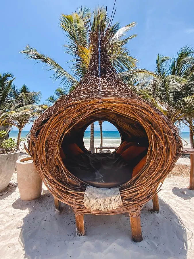 Brand New Tulum Luxury 2Bd 2Bath Condo With Rooftop Pool 0*,
