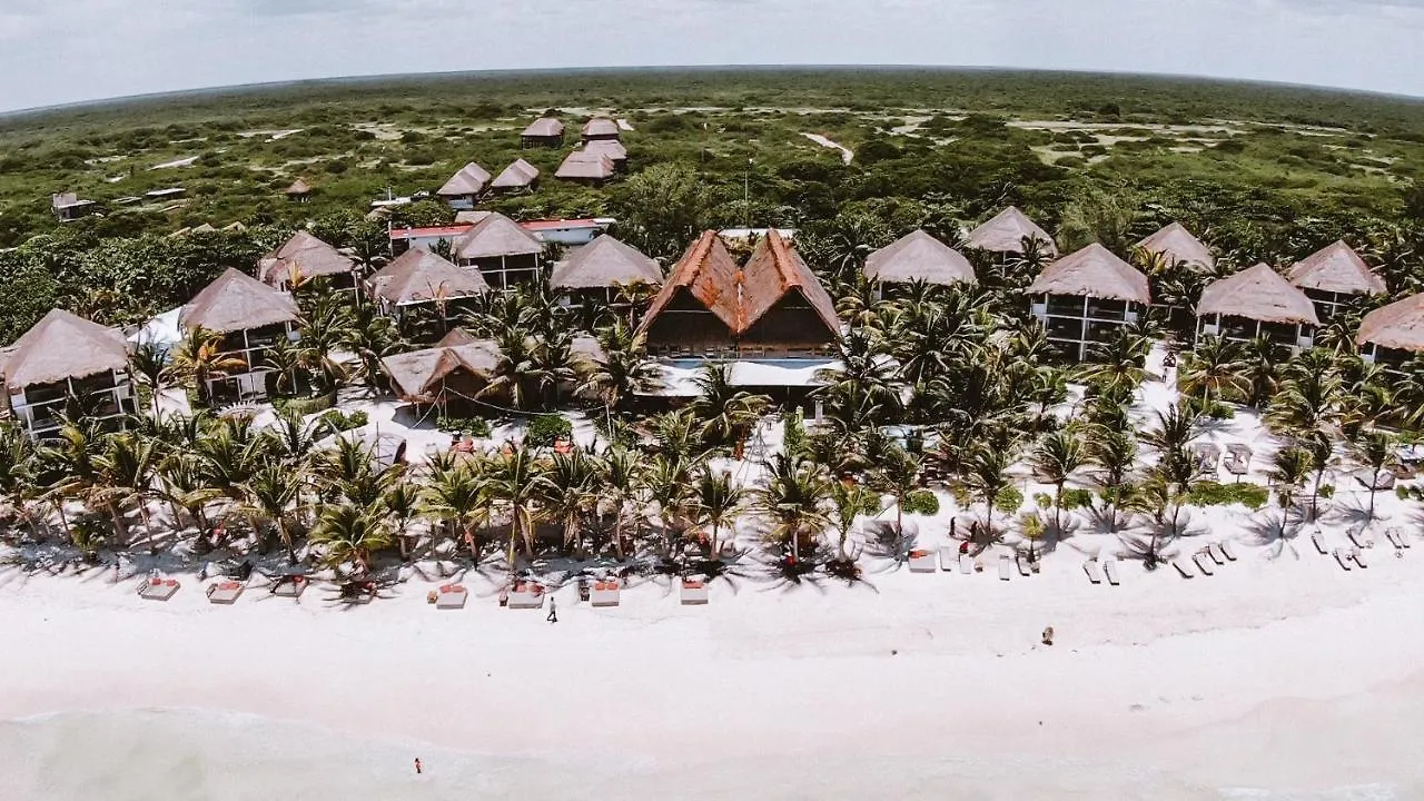 Brand New Tulum Luxury 2Bd 2Bath Condo With Rooftop Pool Apartment